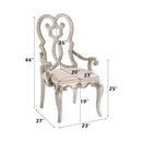 Acme Furniture Esteban Arm Chair 62203 IMAGE 5