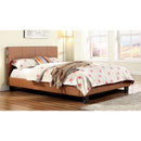 Furniture of America Evans CM7099CL-T-BED Twin Bed IMAGE 1