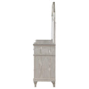 Coaster Furniture Evangeline 223393M 9-Drawer Dresser with Mirror - Silver Oak IMAGE 4