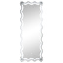 Coaster Furniture Brixey 961473 24 x 63 Inch LED Lighting Standing Floor Mirror - Black IMAGE 8