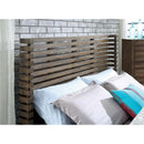  Furniture of America Hankinson Queen Storage Bed CM7576DR-Q-BED IMAGE 2