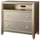  Furniture of America Briella 2-Drawer Media Chest CM7101TV IMAGE 1