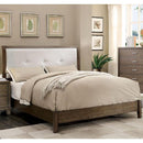  Furniture of America Enrico I Full Upholstered Platform Bed CM7068GY-F-BED IMAGE 1