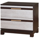  Furniture of America Euclid 2-Drawer Nightstand CM7206N IMAGE 1