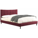 Furniture of America Ennis Queen Upholstered Panel Bed CM7678RD-Q-BED IMAGE 2