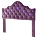  Furniture of America Bed Components Headboard CM7404PR-HB-K IMAGE 2