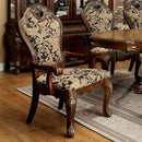  Furniture of America Vicente Arm Chair CM3243AC-2PK IMAGE 2
