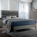  Furniture of America Blythe Queen Upholstered Panel Bed CM7869Q-BED IMAGE 2