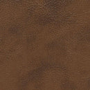  Furniture of America Pollux Leatherette Recliner CM6864-CH IMAGE 4