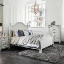  Furniture of America Daria Queen Panel Bed CM7562Q-BED IMAGE 1