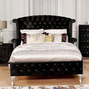  Furniture of America Alzire CM7150BK-Q Queen Bed IMAGE 1