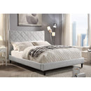  Furniture of America Estarra Full Panel Bed CM7073GY-F-BED IMAGE 1