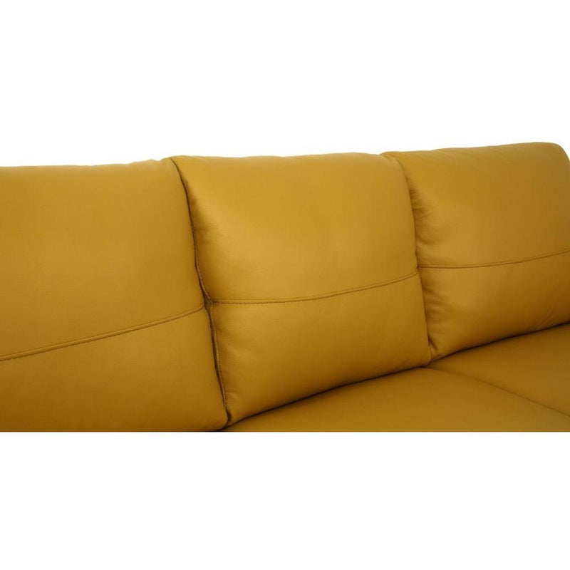 Acme Furniture Valeria Stationary Leather Sofa 54945 IMAGE 4