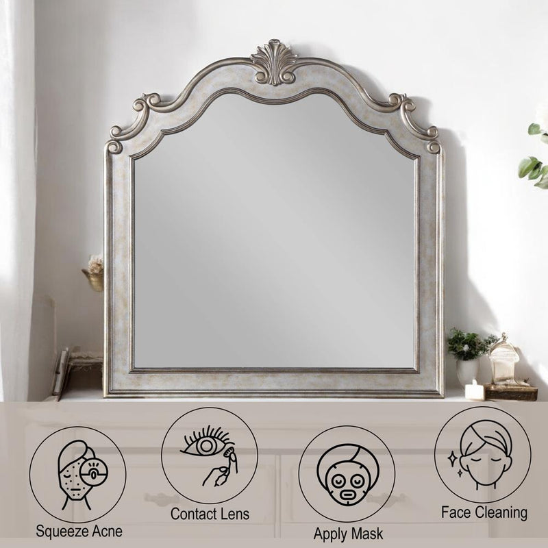 Acme Furniture Esteban 22204 Mirror IMAGE 5