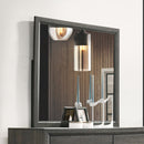 Acme Furniture Valdemar Dresser Mirror 27054 IMAGE 1