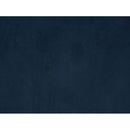 Acme Furniture Ansario Stationary Fabric Loveseat 56456 IMAGE 4