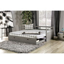  Furniture of America Daybeds Daybeds CM1745GY-BED IMAGE 3