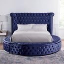  Furniture of America Sansom CM7178BL-Q-BED Queen Bed IMAGE 4