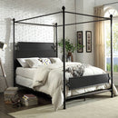  Furniture of America Beatrix King Bed CM7424BR-EK IMAGE 1