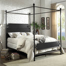  Furniture of America Beatrix King Bed CM7424BR-EK IMAGE 2