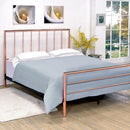  Furniture of America Diana Queen Bed CM7939Q IMAGE 2