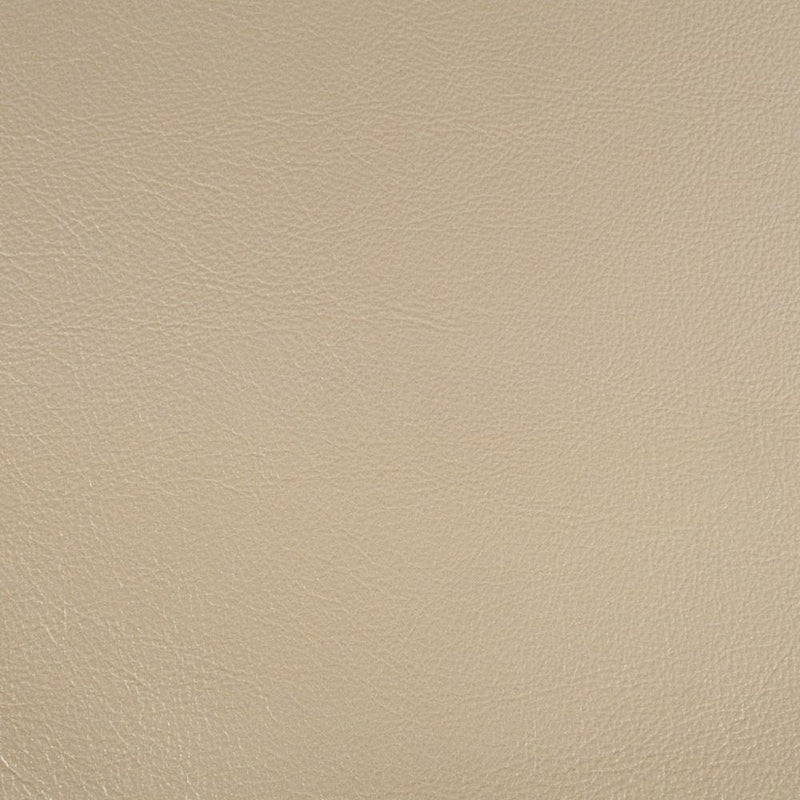 Acme Furniture Sorina DN01210 Arm Chair IMAGE 6