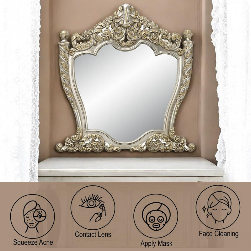 Acme Furniture Danae BD01236 Mirror IMAGE 5