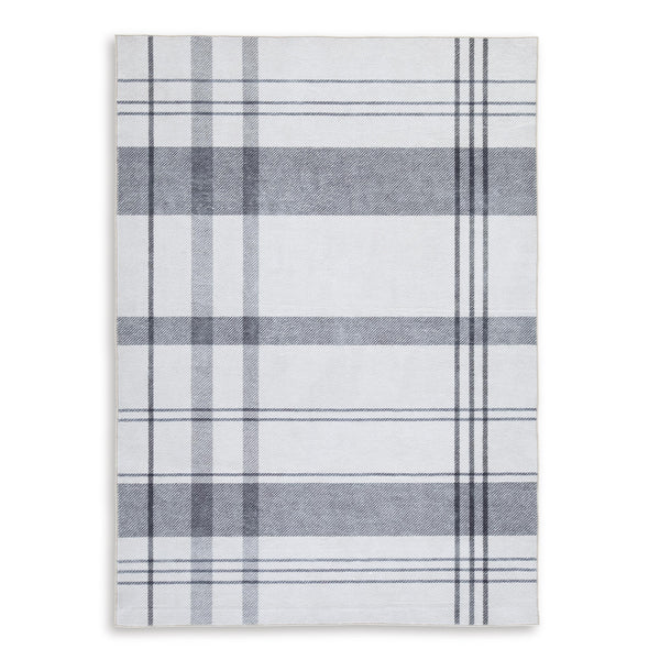 Signature Design by Ashley Kaidlow R405912 Medium Rug IMAGE 1