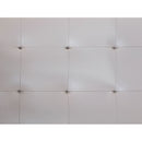  Furniture of America Abberton Leatherette Recliner CM6735BG-CH IMAGE 3
