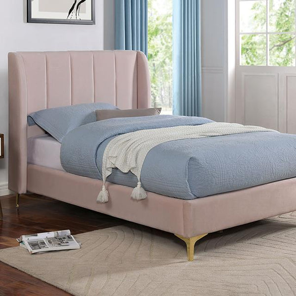 Furniture of America Pearl Twin Upholstered Platform Bed CM7459PK-T-BED IMAGE 1