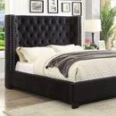 Furniture of America Carley Queen Bed CM7775BK-Q-BED IMAGE 1