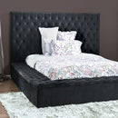  Furniture of America Davida CM7897DG-CK California King Bed IMAGE 1
