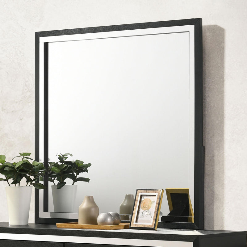 Coaster Furniture Lucia 224994 Dresser Mirror