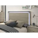  Furniture of America Rainier FM72002GY-Q-BED Queen Bed IMAGE 4