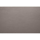  Furniture of America Schlieren FM6012LB-SF-PM Power Sofa IMAGE 3