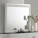  Furniture of America Aldgate FM7244GY-M Mirror IMAGE 1